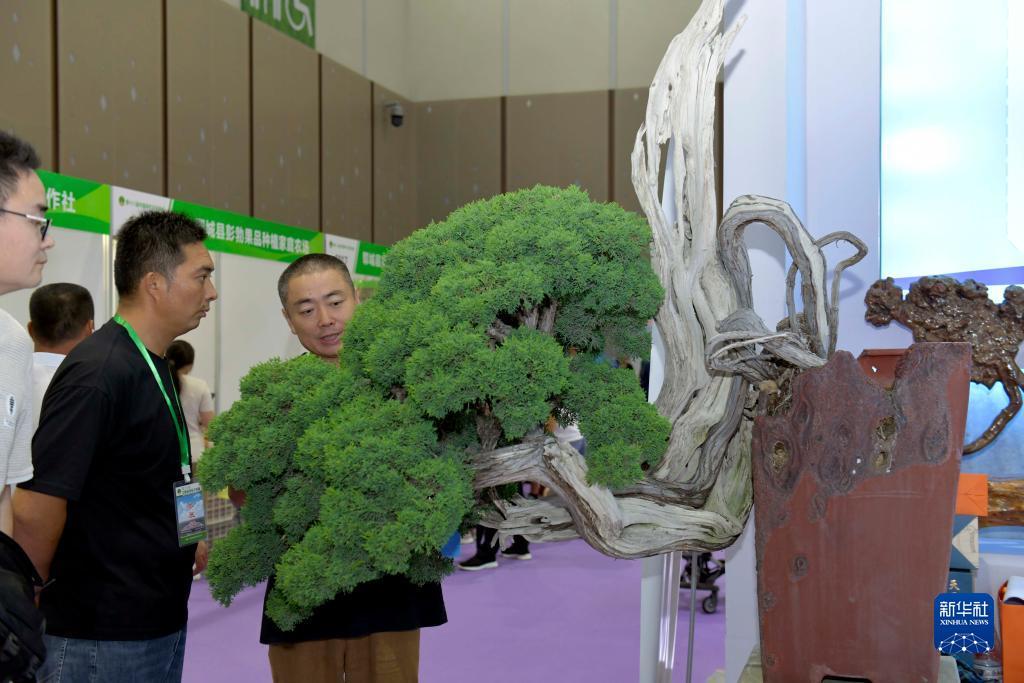 百家家乐下三路怎么看